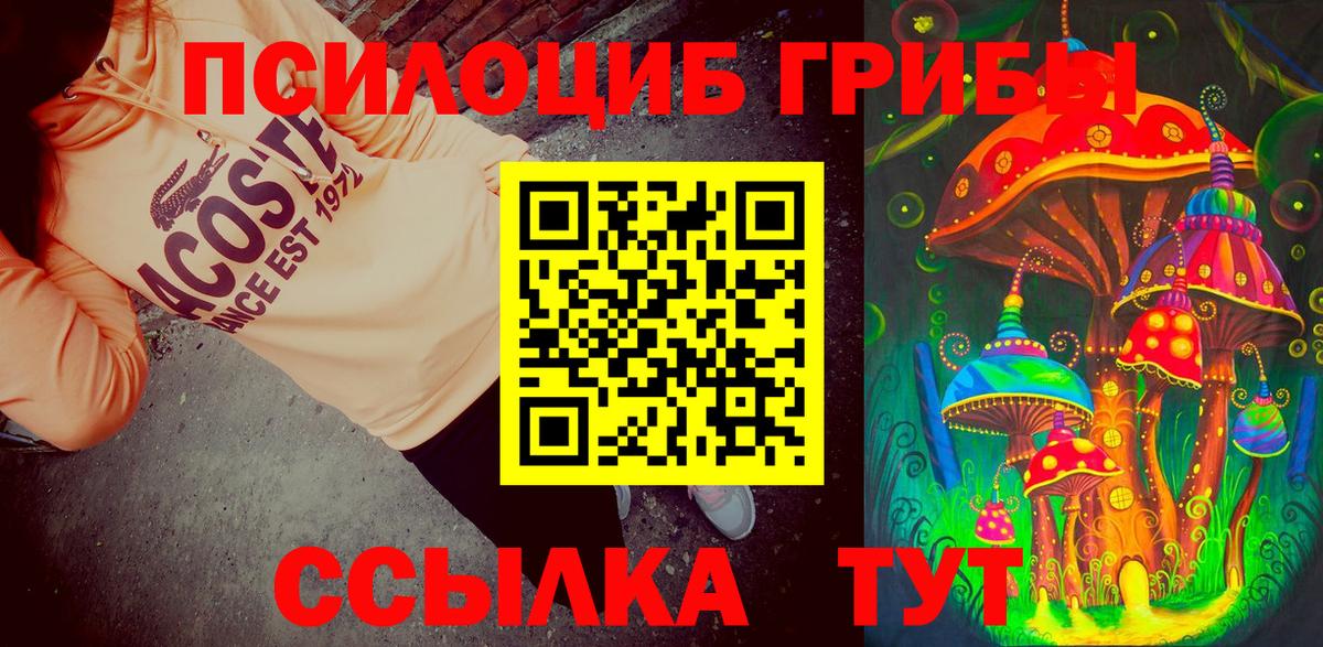 Галлюциногенные грибы мицелий  Псилоцибиновые грибы ЛСД  Вход с VPN  Конаково 